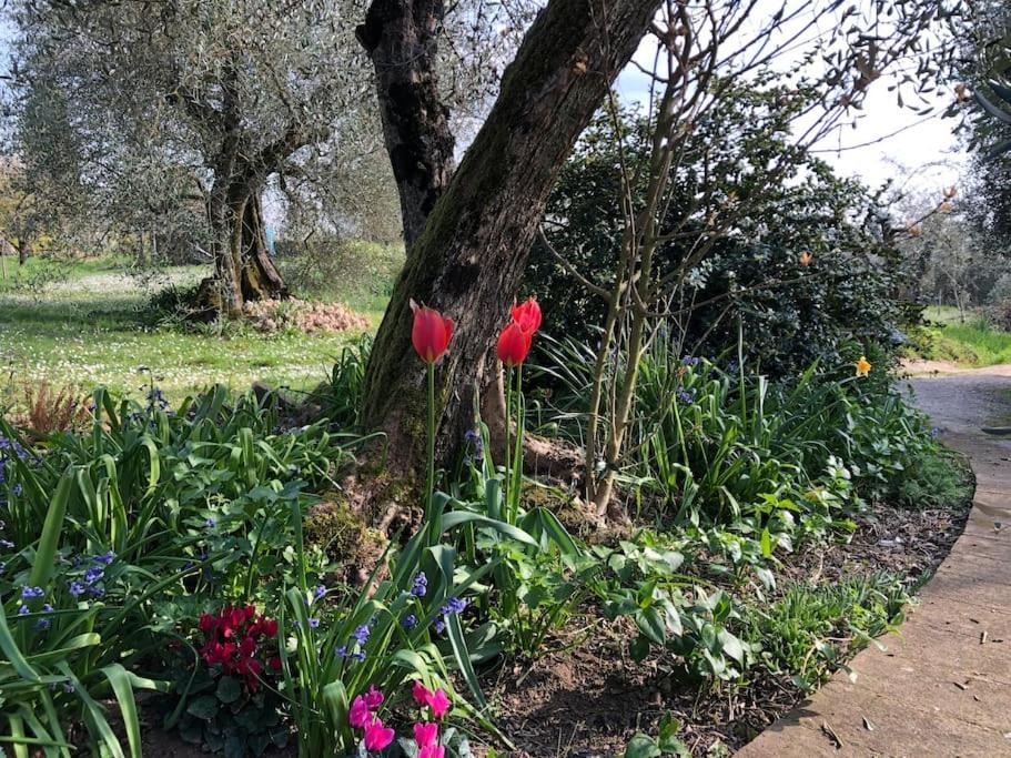 La Vigna Agriturismo Villa Siena Esterno foto