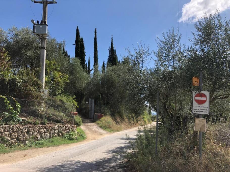 La Vigna Agriturismo Villa Siena Esterno foto